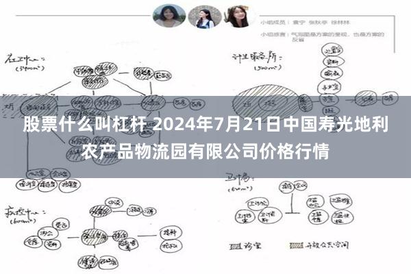 股票什么叫杠杆 2024年7月21日中国寿光地利农产品物流园有限公司价格行情