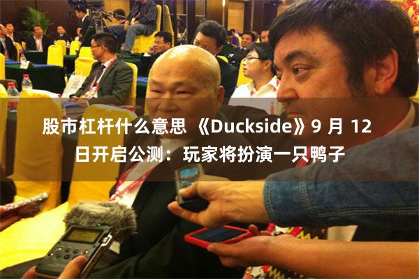 股市杠杆什么意思 《Duckside》9 月 12 日开启公测：玩家将扮演一只鸭子