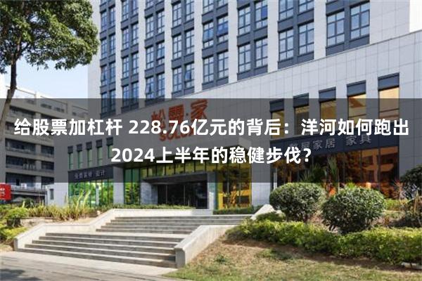 给股票加杠杆 228.76亿元的背后：洋河如何跑出2024上半年的稳健步伐？