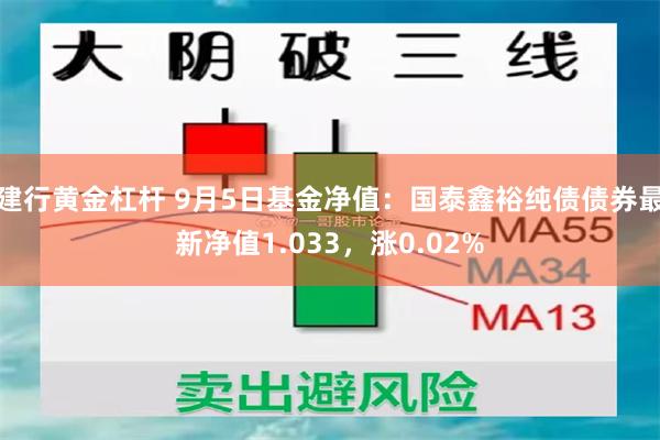 建行黄金杠杆 9月5日基金净值：国泰鑫裕纯债债券最新净值1.033，涨0.02%