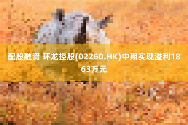 配股融资 环龙控股(02260.HK)中期实现溢利1863万元