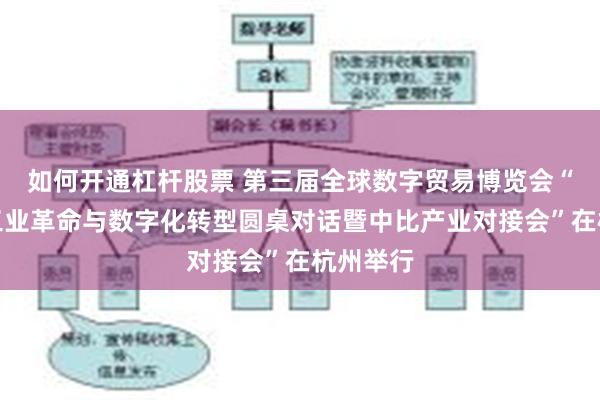 如何开通杠杆股票 第三届全球数字贸易博览会“第四次工业革命与数字化转型圆桌对话暨中比产业对接会”在杭州举行