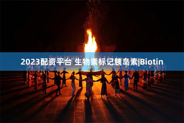 2023配资平台 生物素标记胰岛素|Biotin