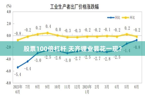 股票100倍杠杆 天齐锂业昙花一现？