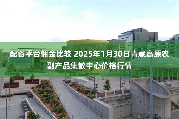 配资平台佣金比较 2025年1月30日青藏高原农副产品集散中心价格行情